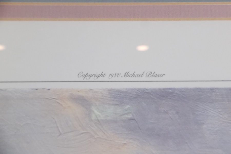 Limited Edition Michael Blaser Offset Lithography Print