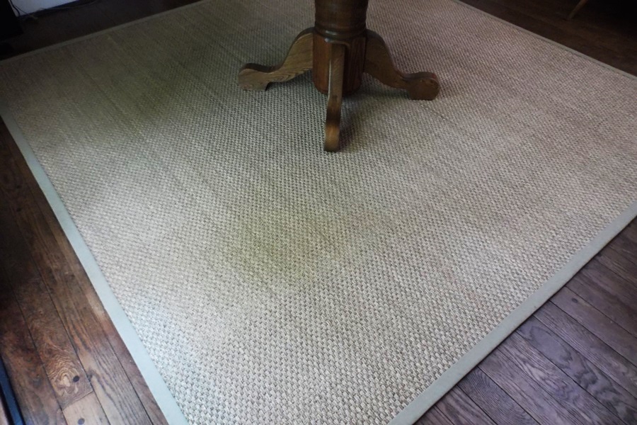 Mountain Grass Area Rug