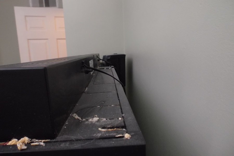 55 Gallon Fresh Water Fish Tank