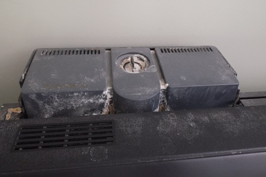 55 Gallon Fresh Water Fish Tank