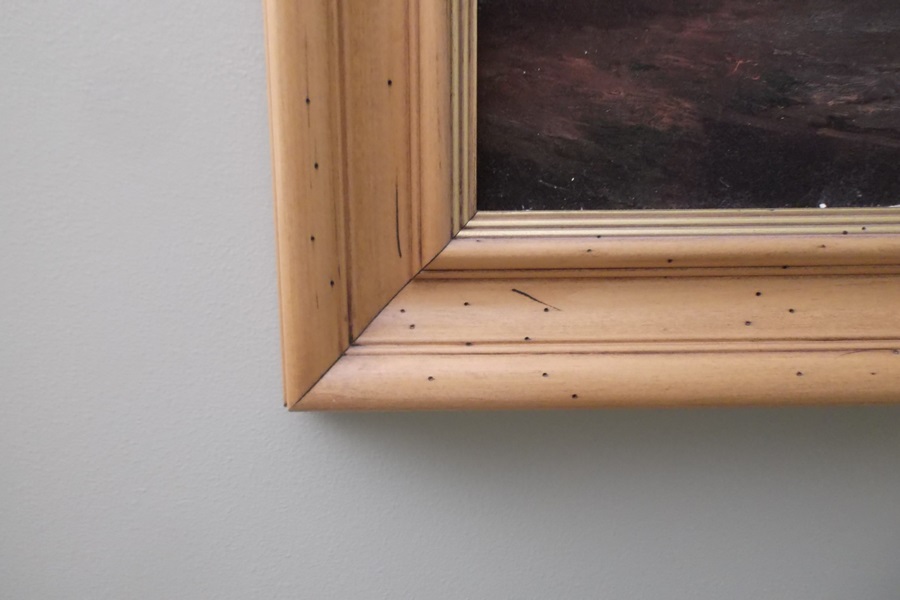 Still Life Print on Canvas