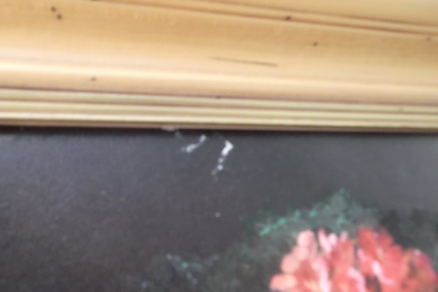 Still Life Print on Canvas