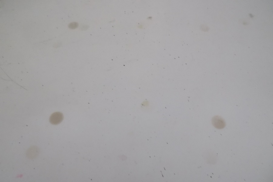 Ficks Reed White Washed Rattan Nine Drawer Dresser