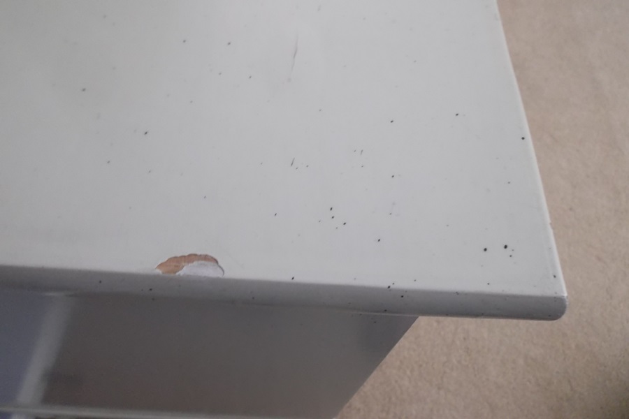 Ficks Reed White Washed Rattan Nine Drawer Dresser