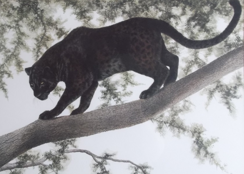 Imogene H. Farnsworth Melanistic Leopard Offset Lithograph