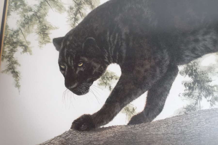 Imogene H. Farnsworth Melanistic Leopard Offset Lithograph