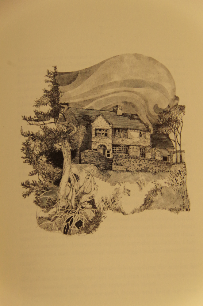 Leather Bound Editions of "Jane Eyre" and "Wuthering Heights"