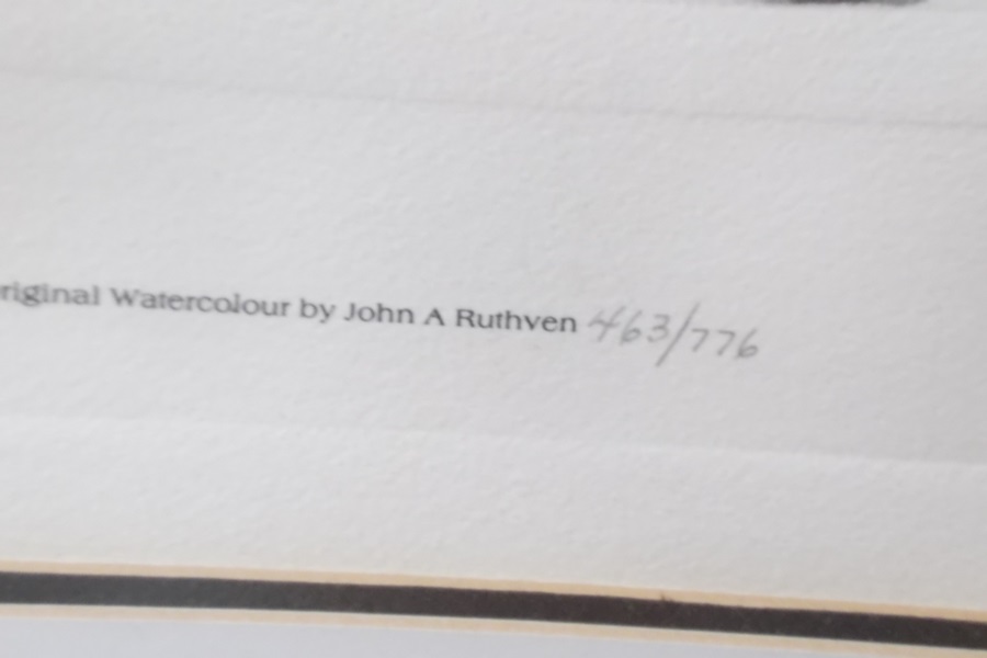 Ruthven Print of Eastern Wild Turkey