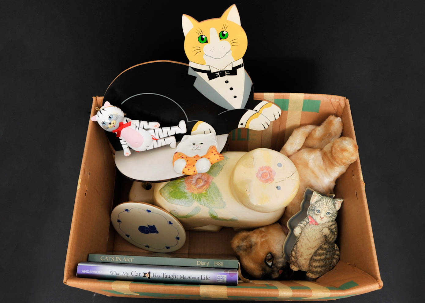 Assortment of Cat Products