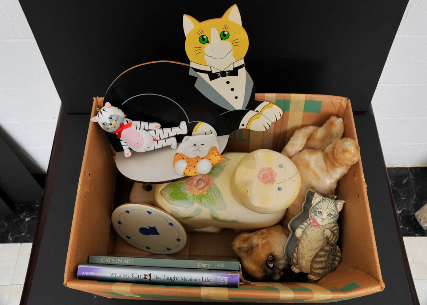 Assortment of Cat Products