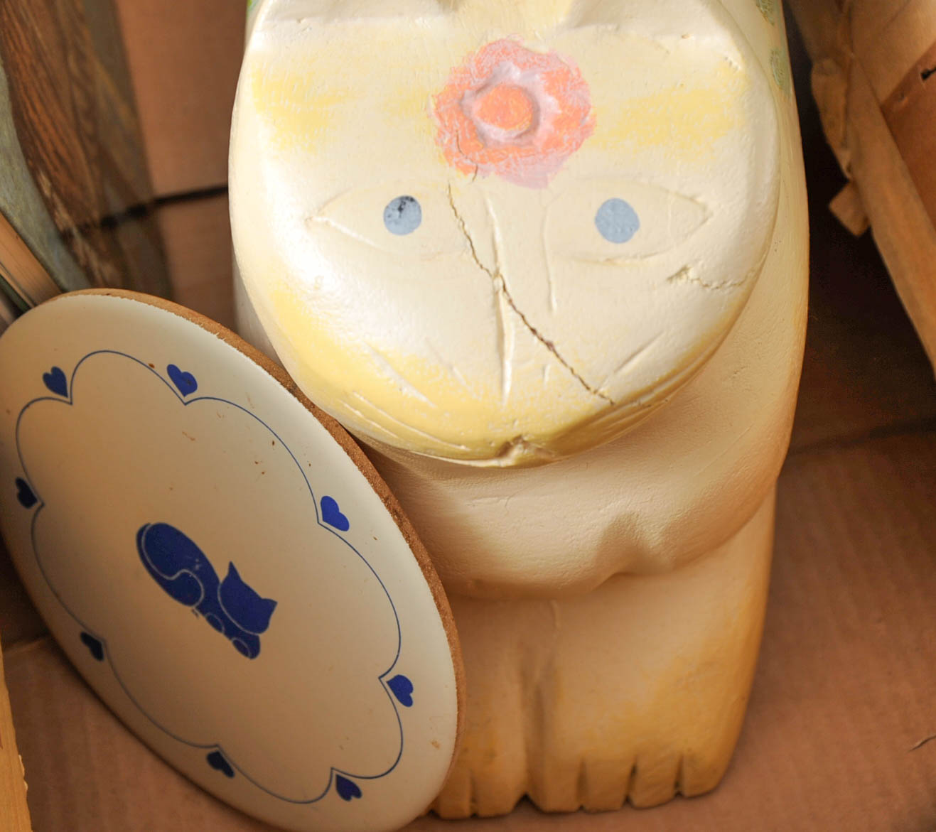 Assortment of Cat Products