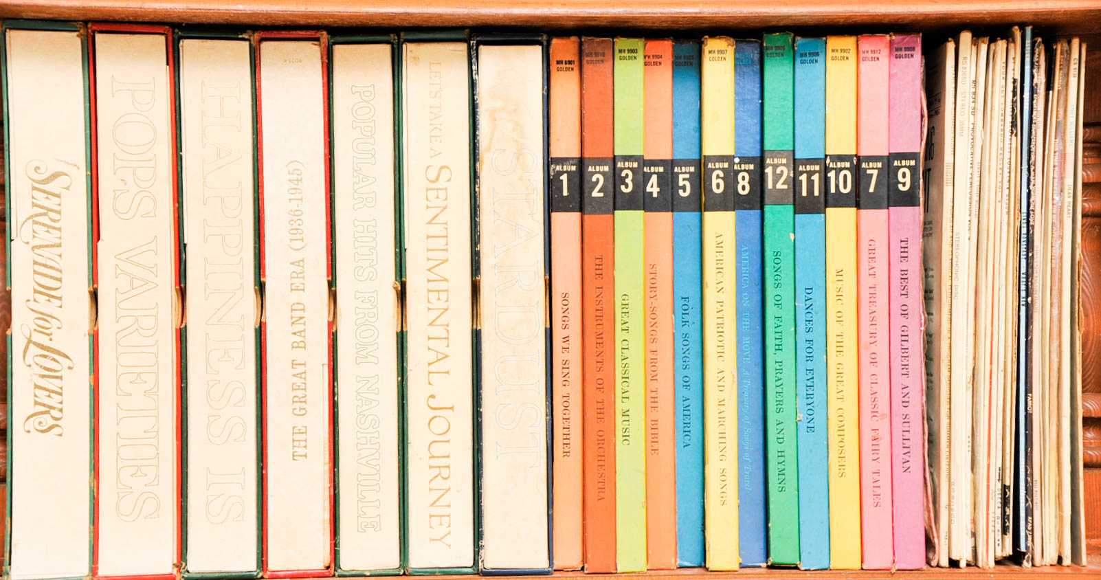 Wooden Record Shelf with Records