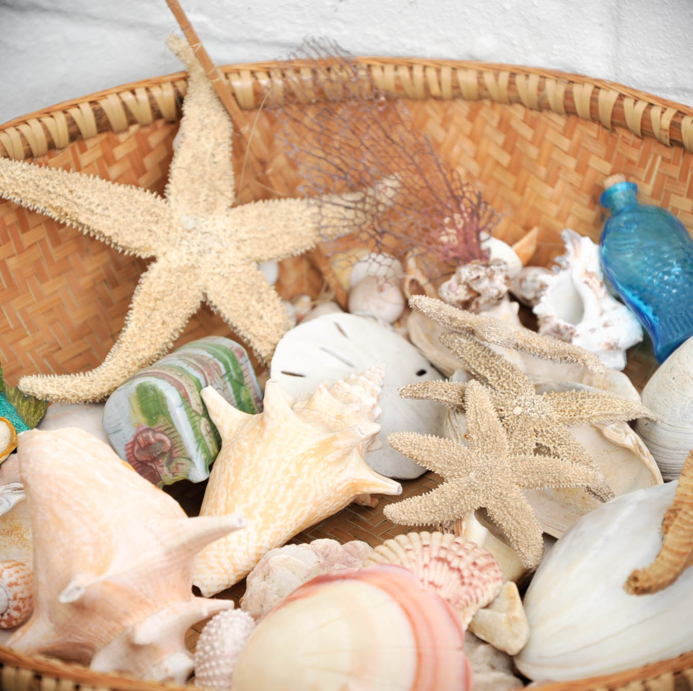 Wooden Shelves with Sea Shells