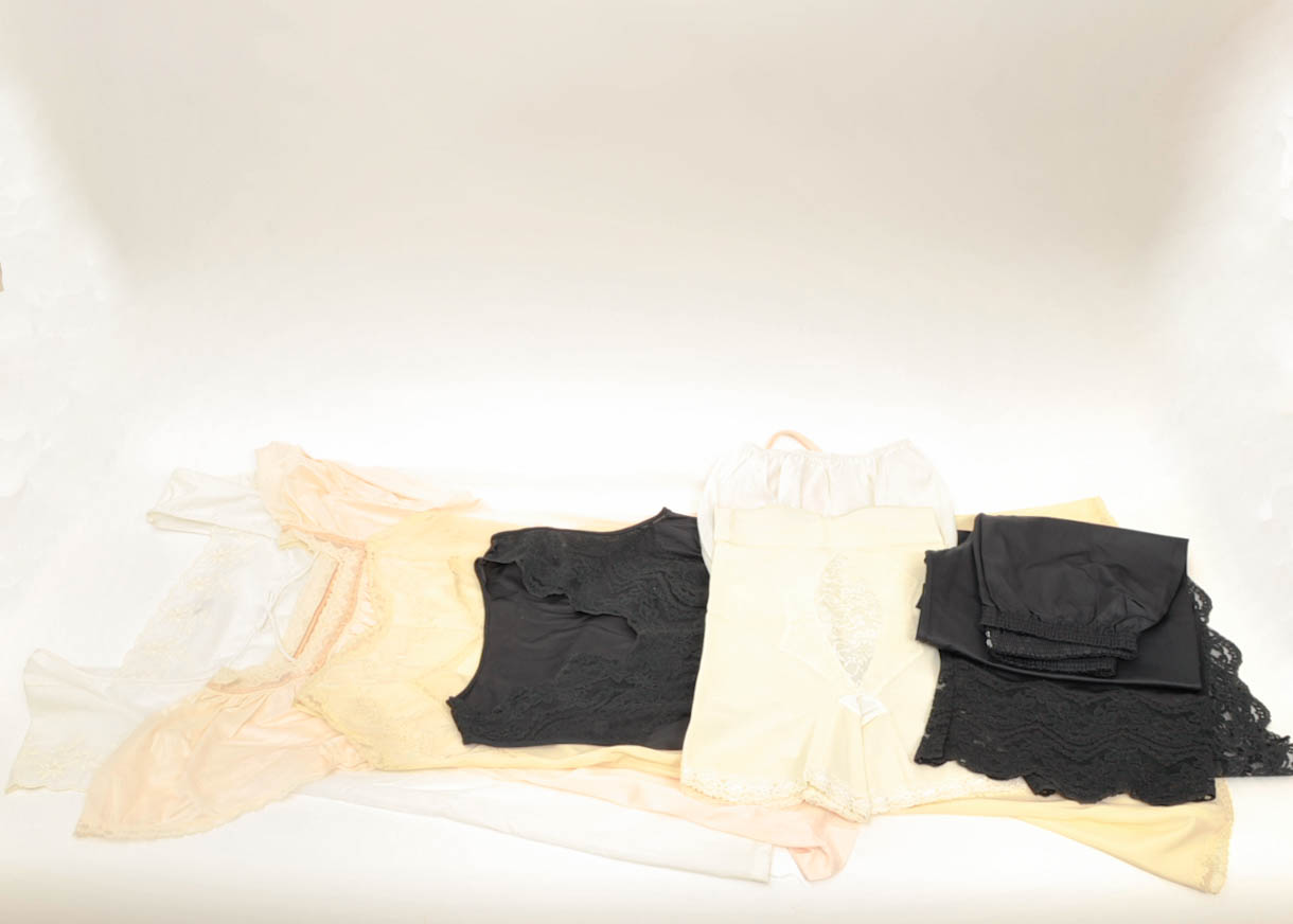 Vintage Slips and Garter Belt