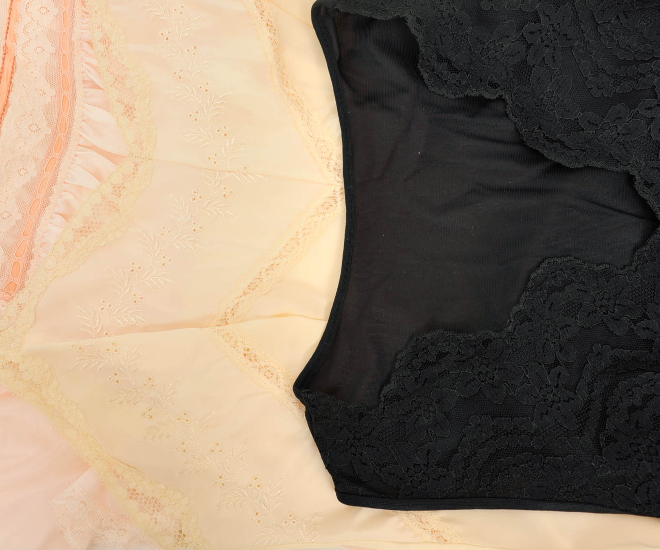 Vintage Slips and Garter Belt