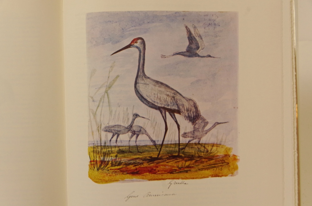 Three John Howell Titles New Spain and Mid 19c American West