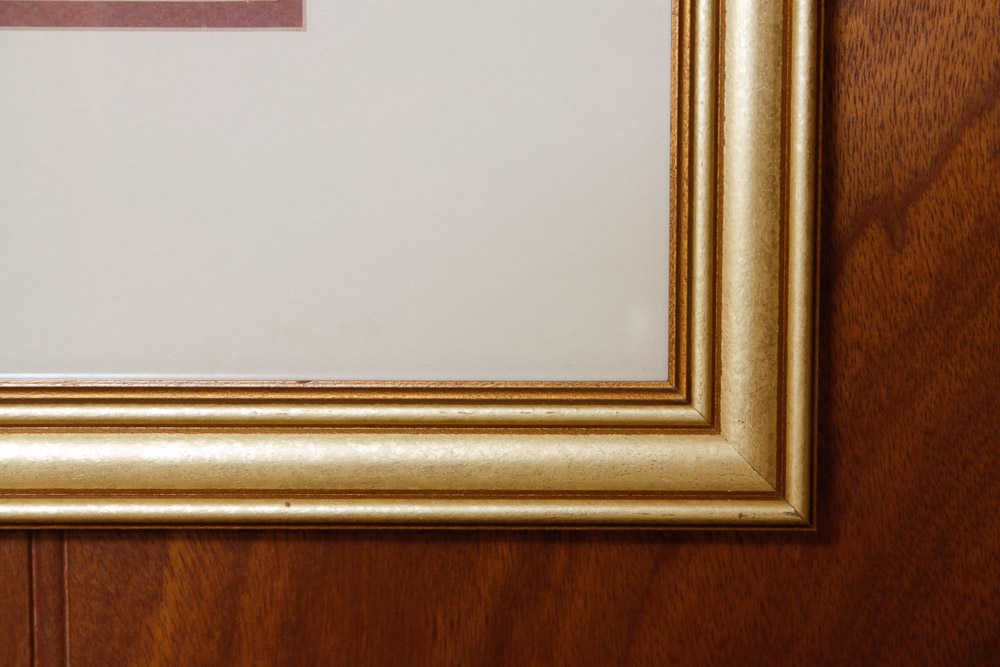 Framed Poster Print of Venice