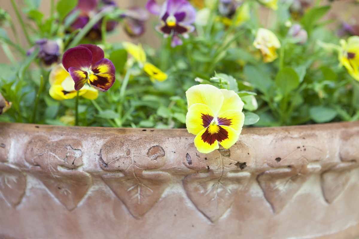 Set of Three Gardening Pots