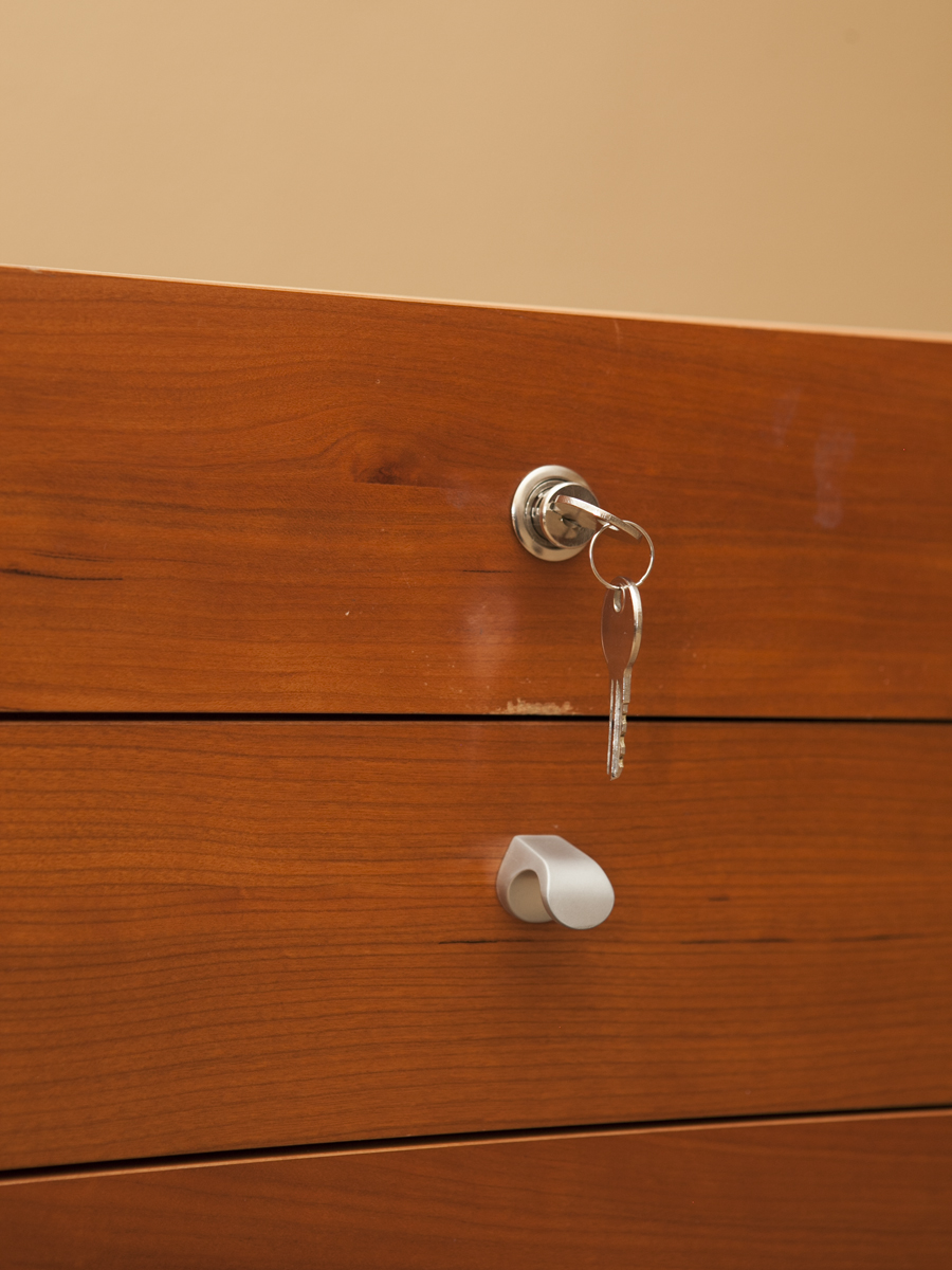 Scandinavian Design Workstation Desk