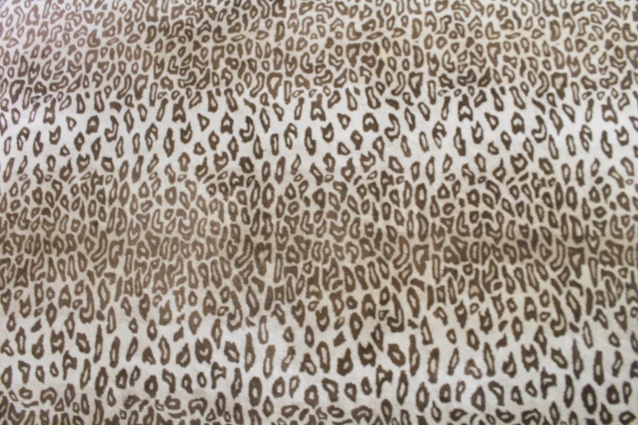 Pottery Barn 9' x 12' Brown Cheetah Rug Gold