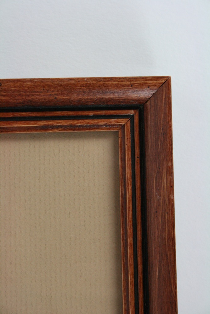 Original Photograph by Jim Buckner “Treed Fox”