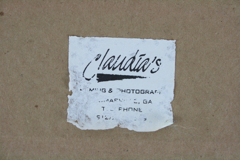 Original Photograph by Jim Buckner “Treed Fox”