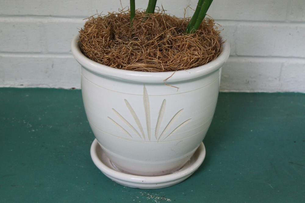 Faux Potted Fern Plant