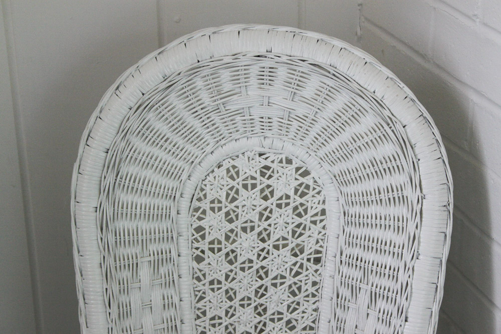 Wicker Chair, Hanging Planter, and Shelf