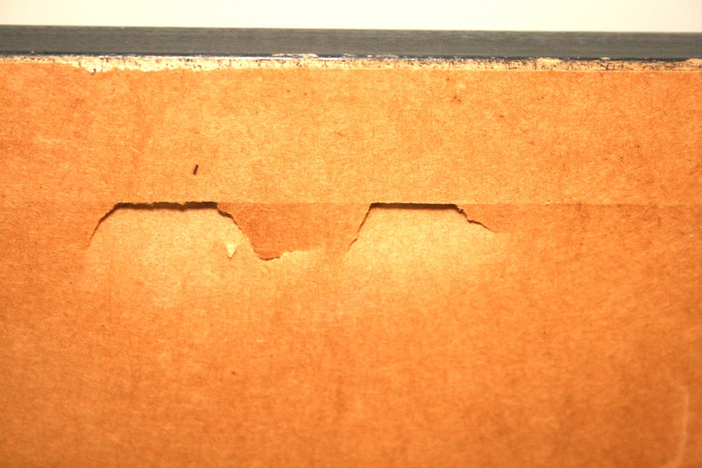 Limited Edition Print  “Jack Russell Chase” by Louise Wood