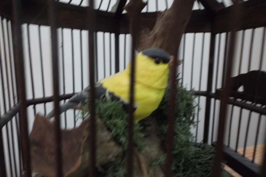 Asian Style Wooden Bird Cage