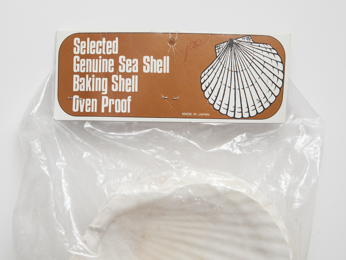 Collection of Geuine Seashells