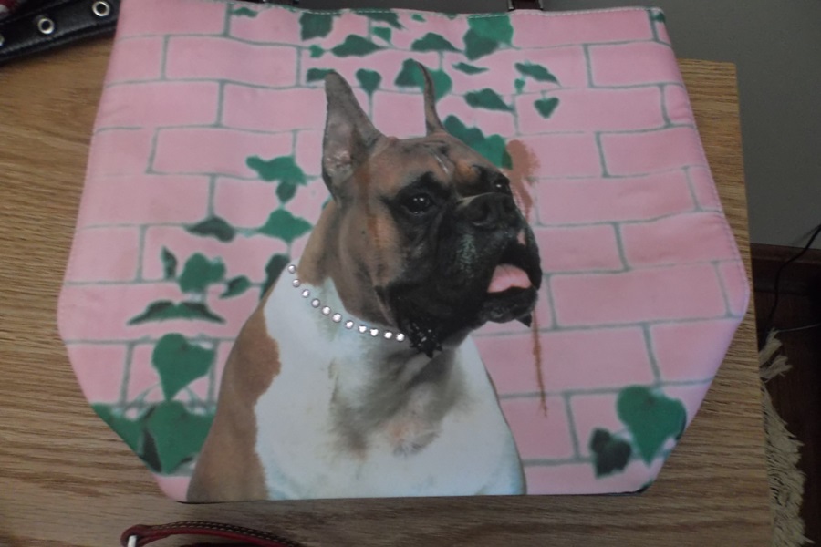 Assortment of Designer Handbags