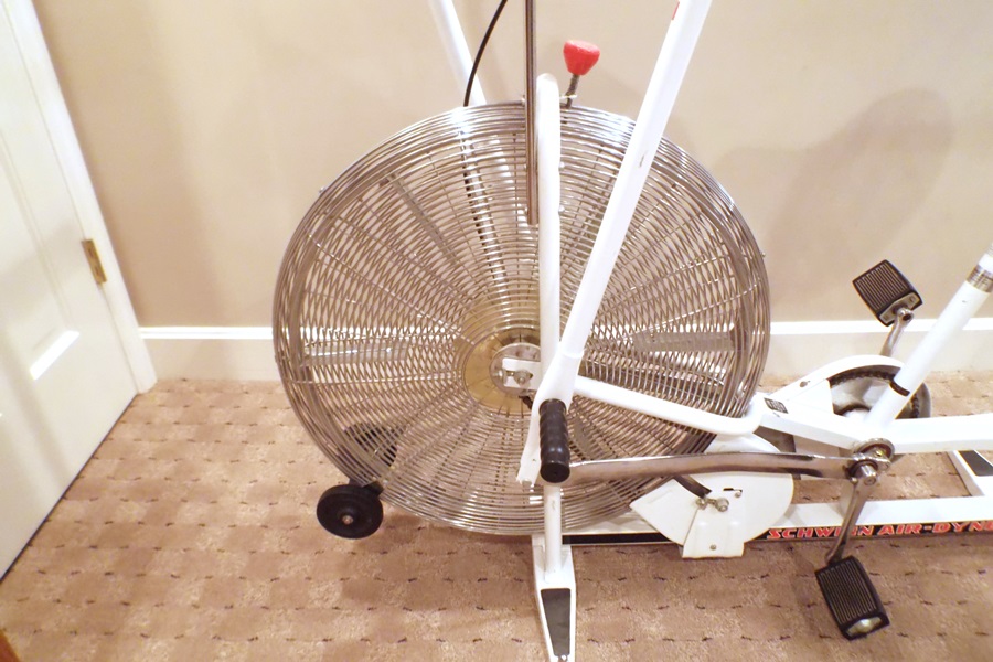 Schwinn Air Dyne Stationary Exercise Bike