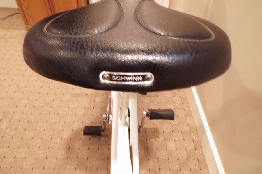 Schwinn Air Dyne Stationary Exercise Bike