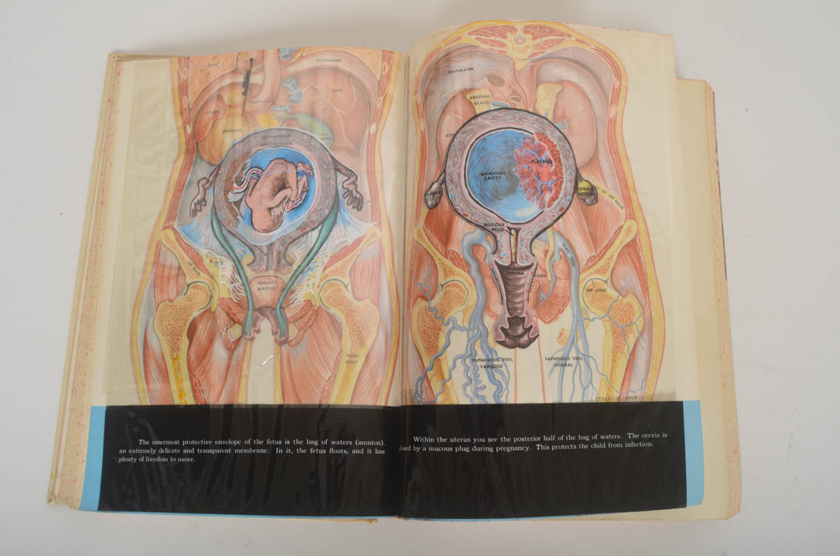 Collection of Vintage Books