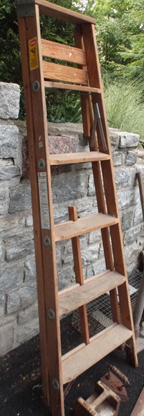 Assortment of Garden Tools