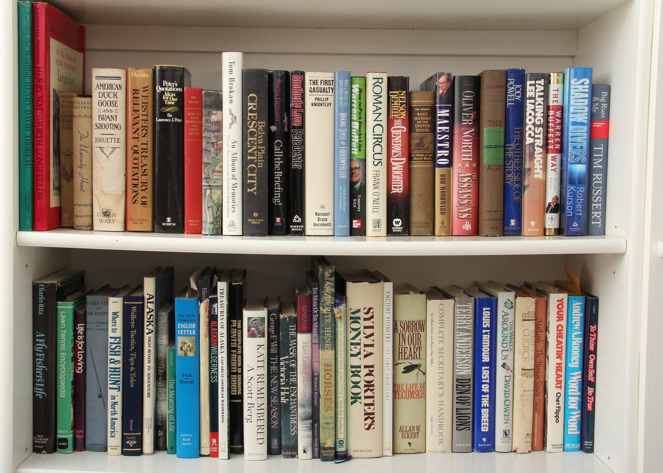 A Collection of Vintage and Modern Books