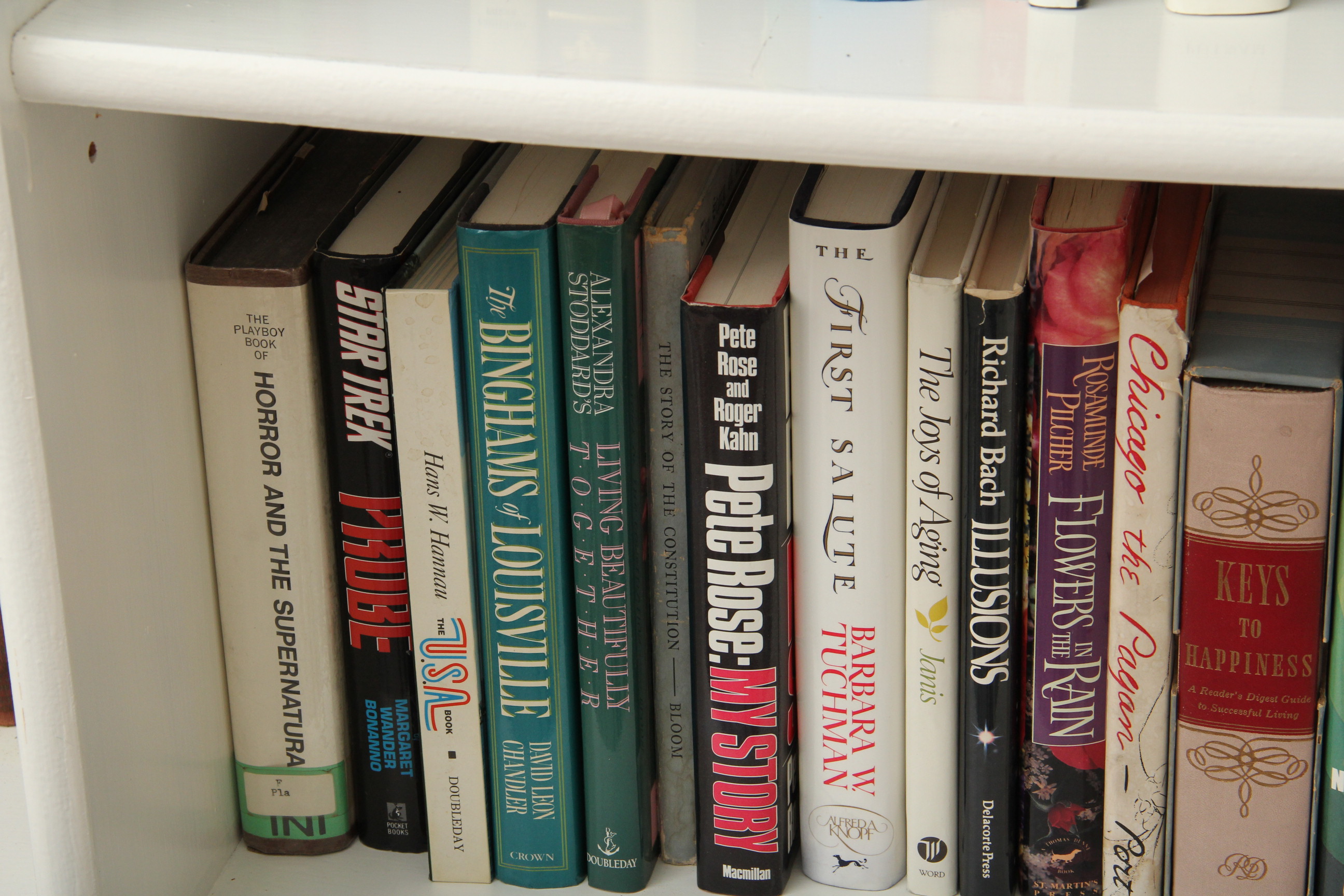 A Collection of Vintage and Modern Books