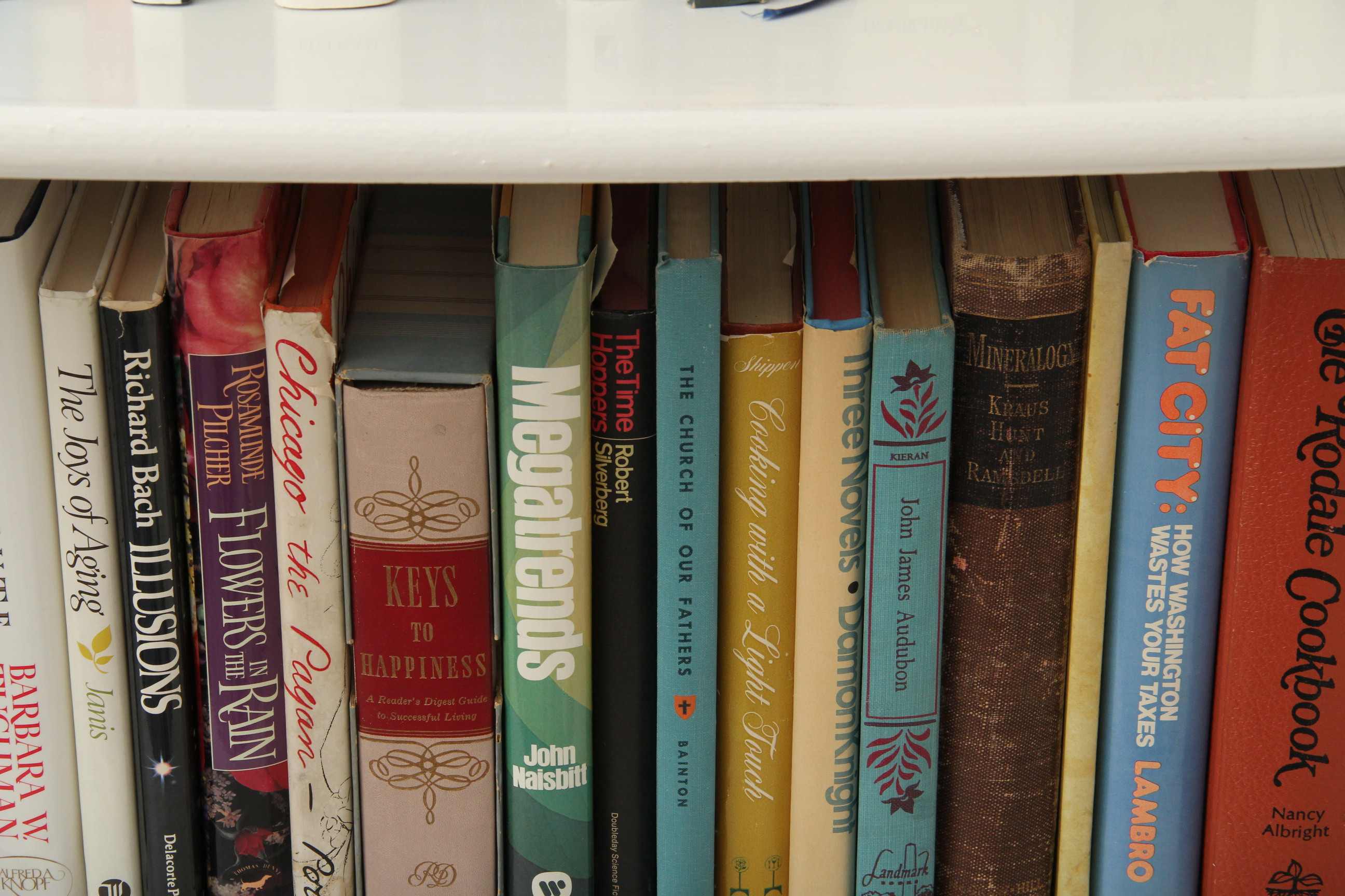 A Collection of Vintage and Modern Books