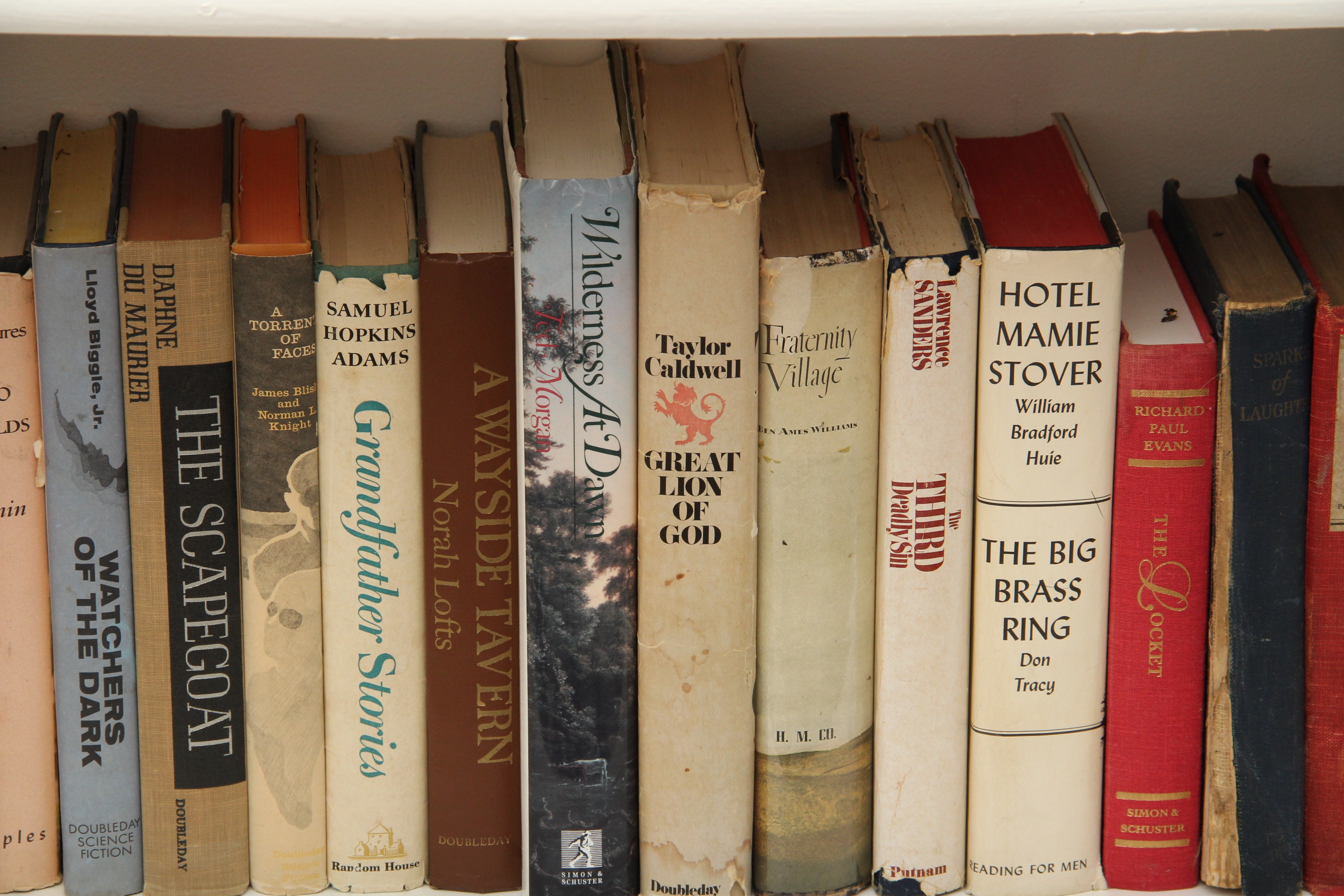 A Collection of Vintage of Modern Books
