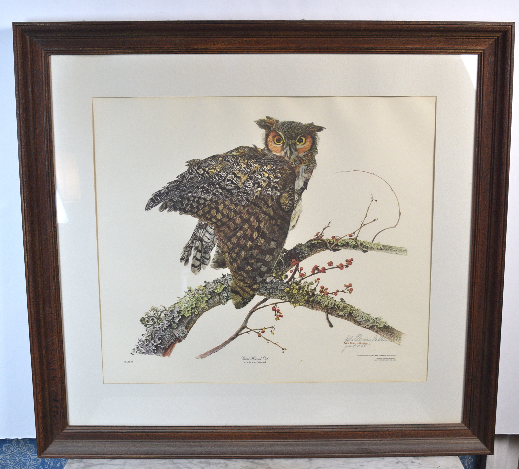 Sallie Ellington Middleton 'Great Horned Owl' Signed Print