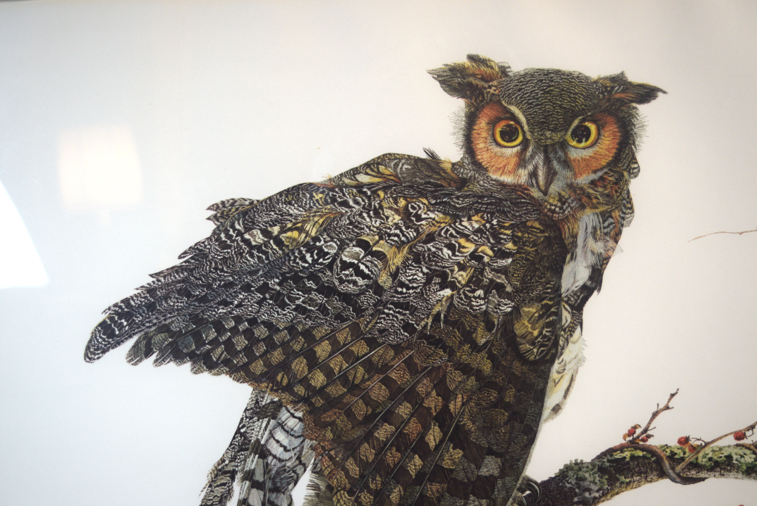 Sallie Ellington Middleton 'Great Horned Owl' Signed Print