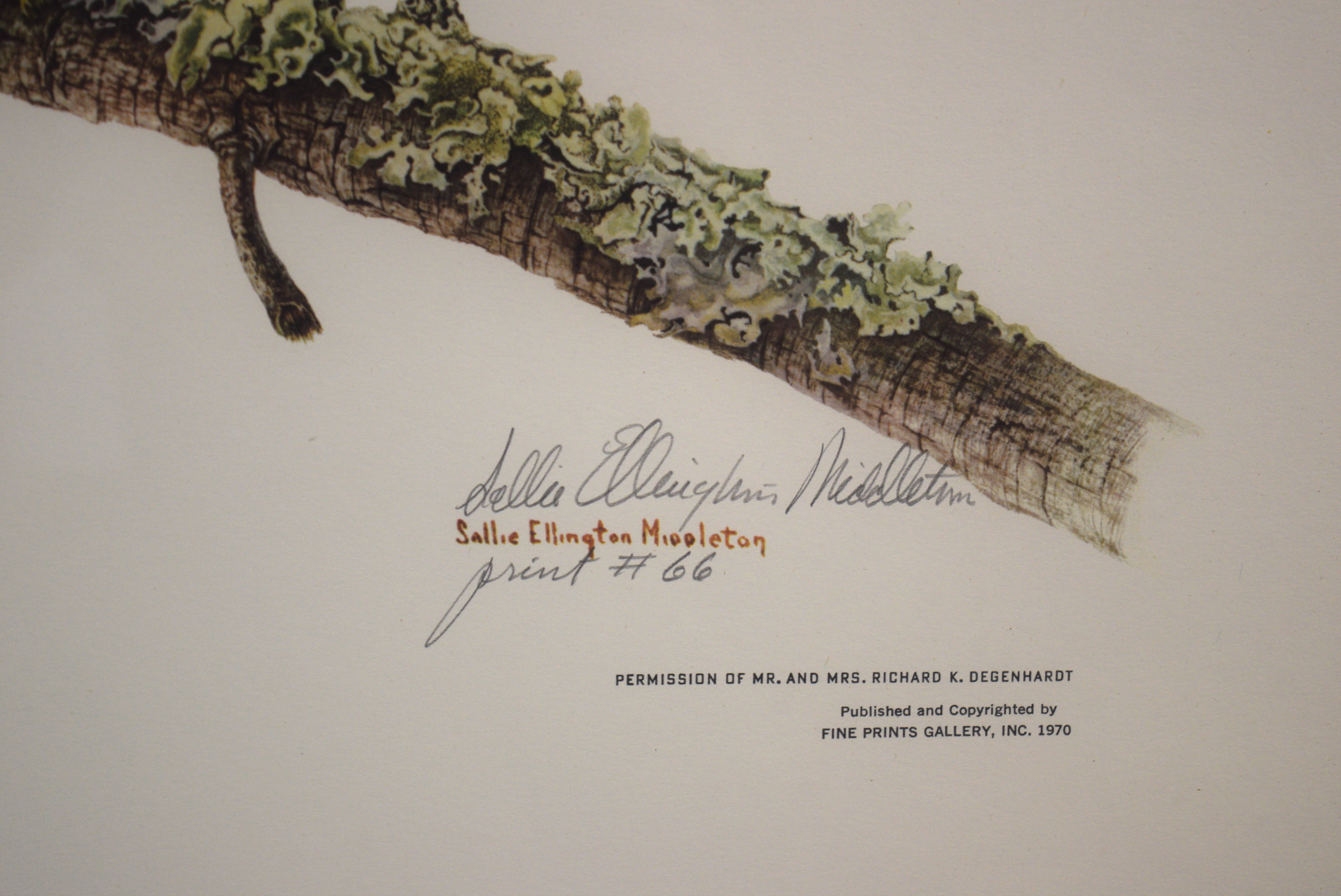 Sallie Ellington Middleton 'Great Horned Owl' Signed Print