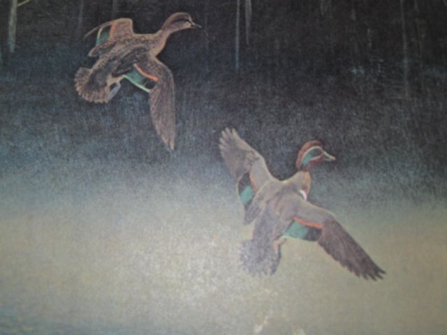 Books About the World of Nature