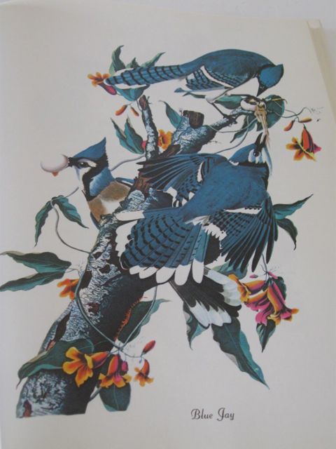 Books About the World of Nature