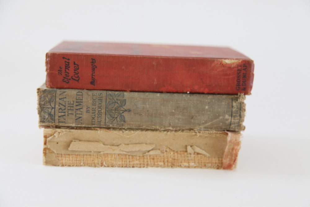 Books by Edgar Rice Burroughs