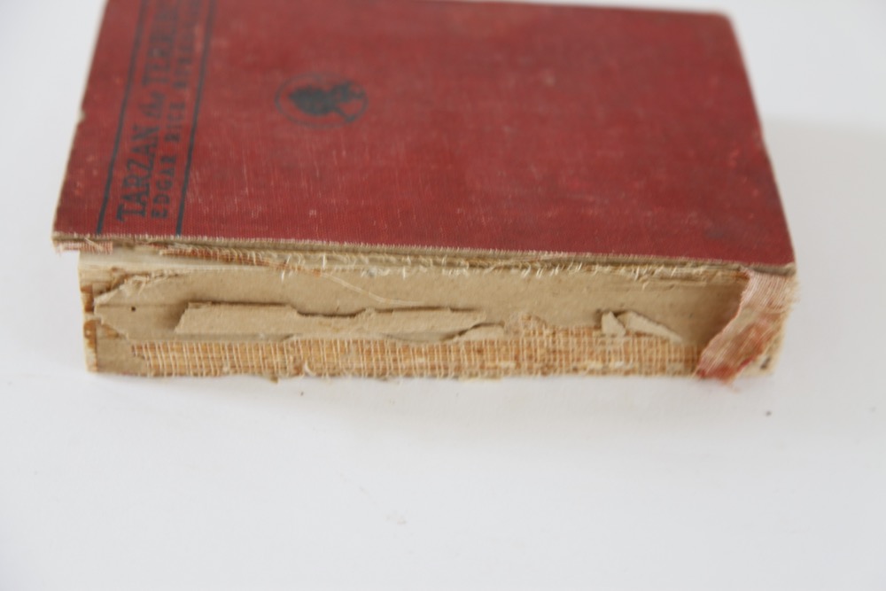 Books by Edgar Rice Burroughs