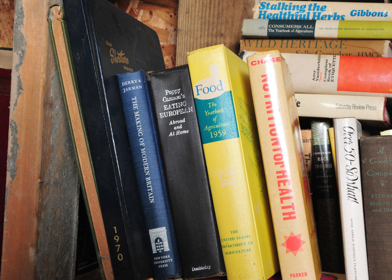 Grouping of Vintage Instructional and Guide Books