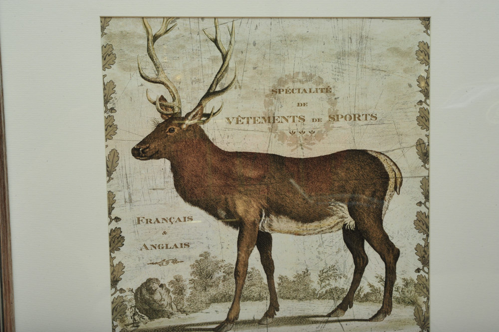 Pair of Framed Deer Prints