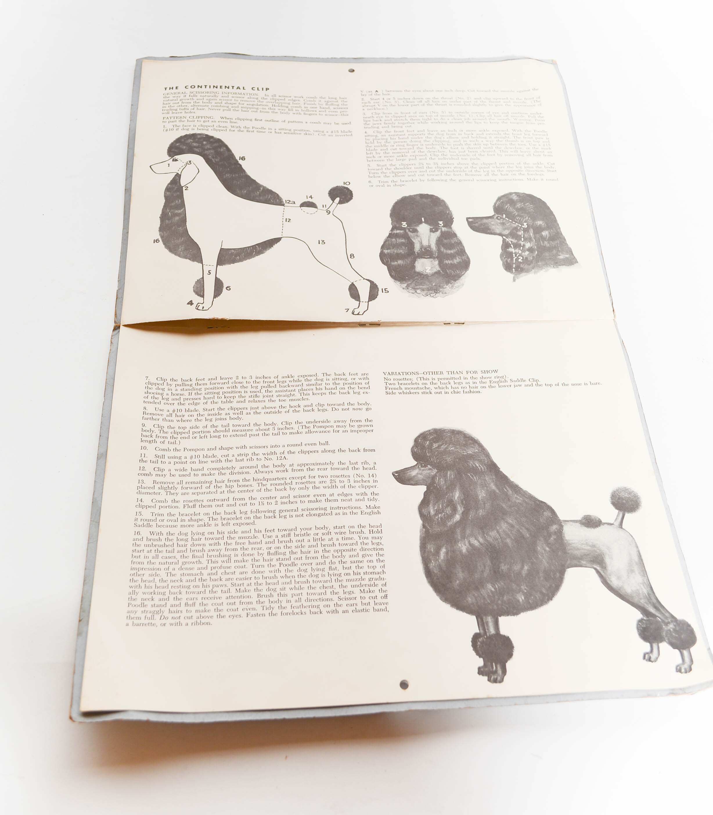 Vintage Oster Animal Hair Clippers Set